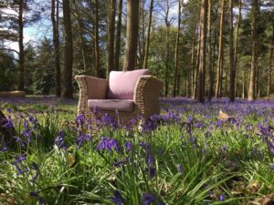 montana chair lilac 2